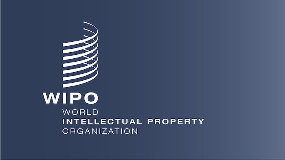  Nigeria Ranks First in Unicorn Valuation, 105th In Global Innovation Index