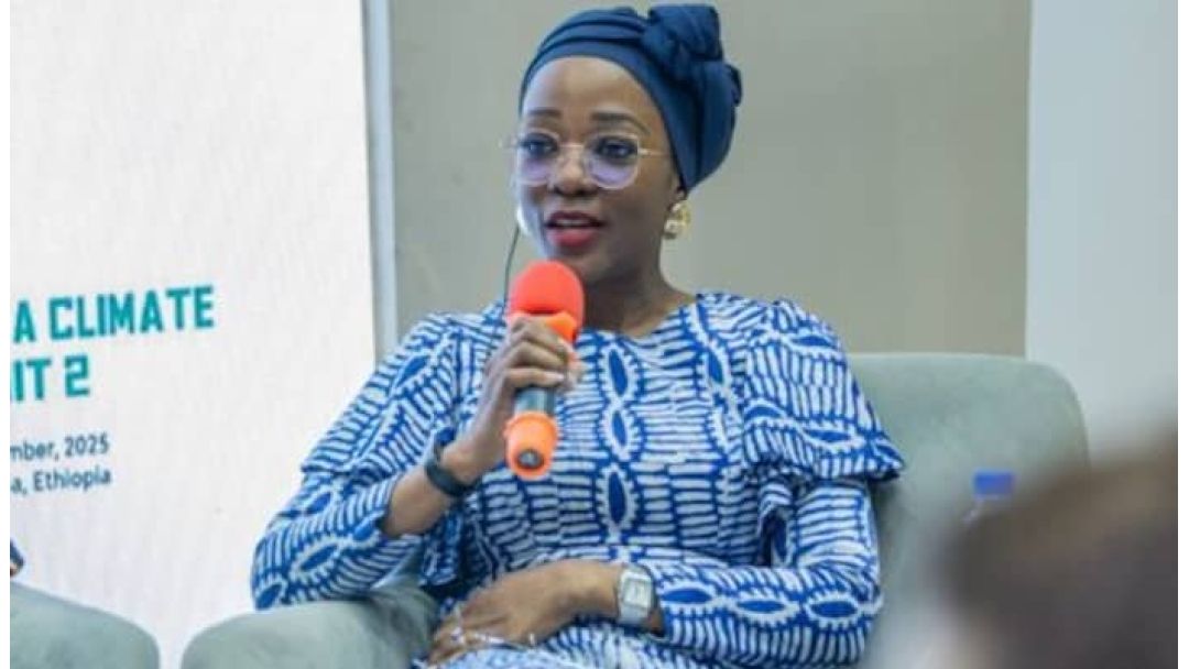  Nigeria Targets $25 Billion in Climate Finance by 2030 to Drive Net-Zero Transition