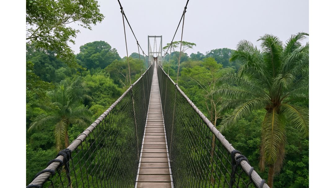 Featured image: Lekki Conservation Centre – Àyè Isinmi Aládàáṣiṣẹ̀ ní Lagos