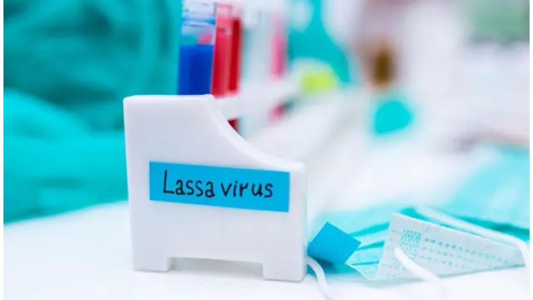 Single-Dose Lassa Fever Vaccine Shows Strong Immunity, Advances To Phase 2 Trials In West Africa