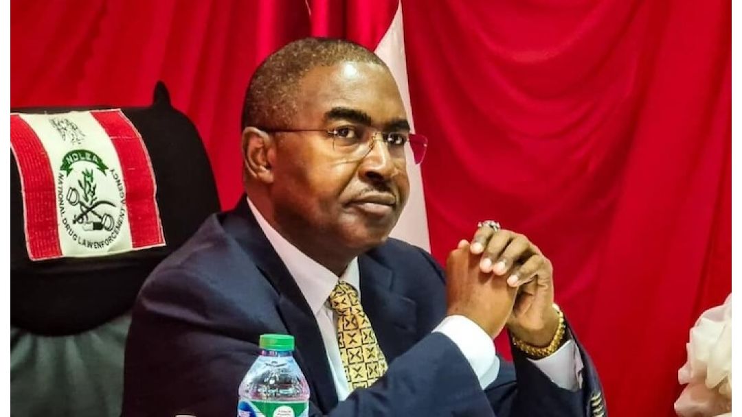 Tinubu Ya Sake Naɗa Buba Marwa a Matsayin Shugaban NDLEA na Sauran Shekaru Biyar