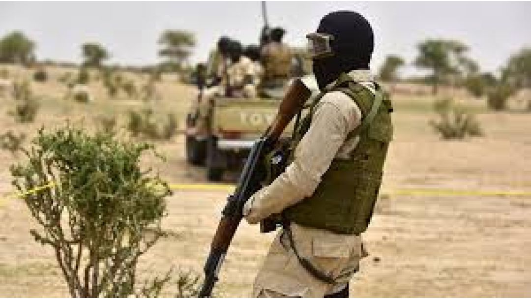 Dalhatu: Boko Haram na Ndị Ọkụ Ọgwụ Ewu Ekwupụtala Agha Na Nigeria, ECOWAS Ga-Eme Ọrụ Agha Mmekọrịta