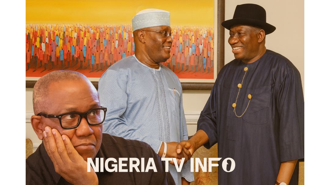 ADC Urges Peter Obi To Decide On Joining Party As Atiku Visits Jonathan