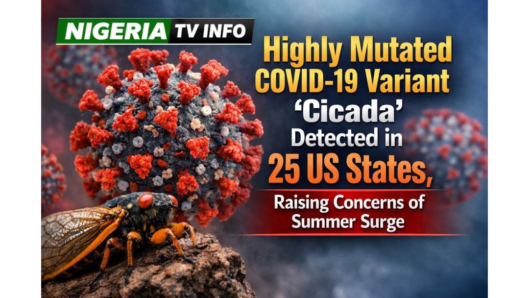 Featured image: Àrùn COVID-19 Tí Ó Yí Padà Púpò Tó ń Jẹ́ ‘Cicada’ Ti Farahàn Ní Ìpínlẹ̀ 25 Nínú Orílẹ̀-Amẹ́ríkà, Ìbànújẹ̀ Ìbànújẹ̀ Nipa Ìtànkálẹ̀ Ní Òru Òjò | Nigeria TV Info
