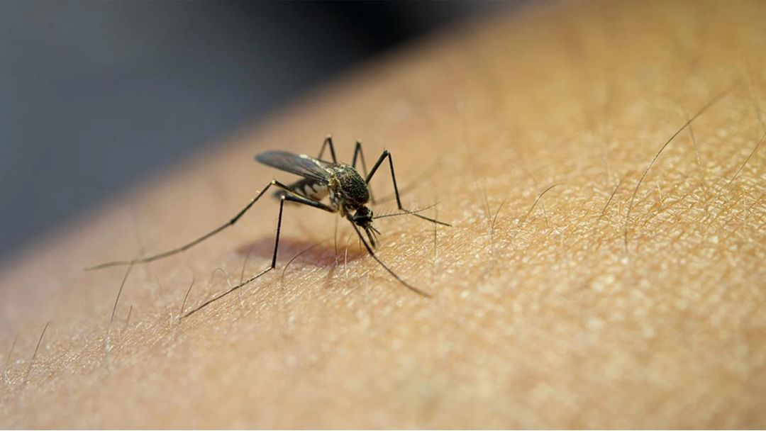 Featured image: World Malaria Day 2026: FG Backs Youth-Led GHC Competition to Eradicate Disease